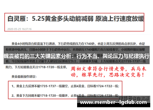 魏震被罚的三大关键因素分析：行为不当、舆论压力与纪律执行