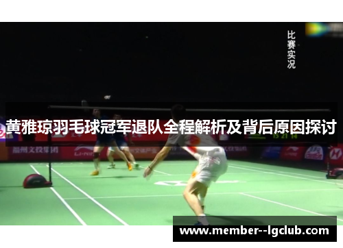 黄雅琼羽毛球冠军退队全程解析及背后原因探讨